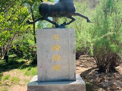 -武清南湖绿博园