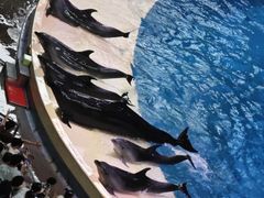 -珠海长隆海洋王国