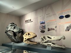 -自贡恐龙博物馆