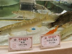 -白金汉爵大酒店-24小时餐厅