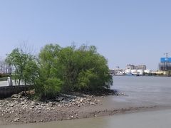 -上海山野camping·户外天幕烧烤·团建拓展营地