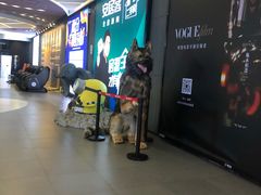 -卢米埃影城(住总万科杜比全景声激光店)