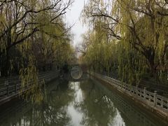 -小狗面馆(复兴店)