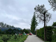-前小桔亲子创意农场·草莓采摘·露营烧烤
