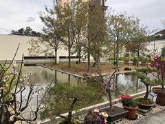 -南紀白浜 浜千鳥の湯 海舟