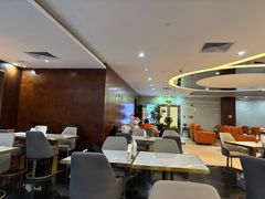 -南航明珠v2头等舱公务舱休息室