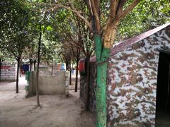 -勇士之星真人CS·团建·拓展(清水河公园店)