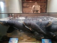 -上名堂·鱼头好吃(体育场路店)