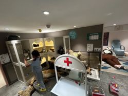 -奈尔宝·儿童乐园·亲子餐厅(华采天地店)