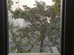 -重庆十八梯传统风貌区