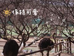-秀丽东方