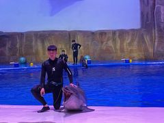 -华夏文旅海洋公园