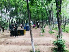 -亲兄弟真人CS团建拓展基地