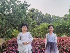 -松山湖梦幻百花洲