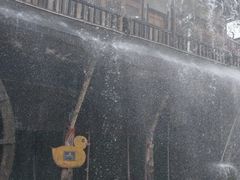 -呀路古热带植物园