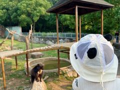 -无锡动物园·太湖欢乐园