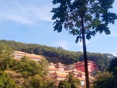 -东莞市大岭山森林公园