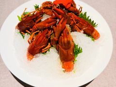 熟醉小兰龙虾-福玺荟(外滩罗斯福店)