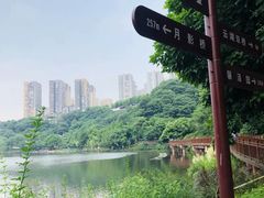 -重庆彩云湖湿地公园