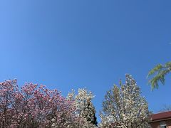 -中国农业大学(西校区)