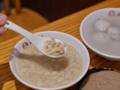 花生汤-海丝金凤(金鱼店)