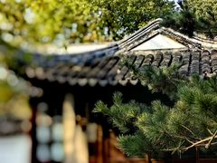 -秋霞圃