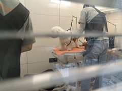 -帕帕拉兹宠物(亚洲旗舰店)