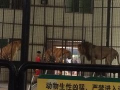 -广东茂名森林公园