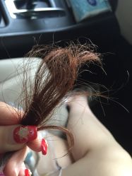 picture-ＤＯＭＯプロの美容サロン