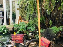 -Fern Forest Cafe