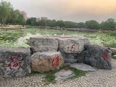-太阳宫公园