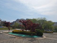 -星光岛