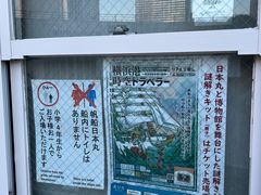 -帆船日本丸