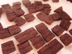 -宁波国际会展中心