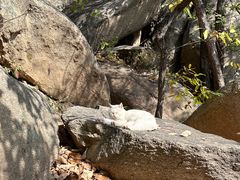 -天津盘山风景名胜区