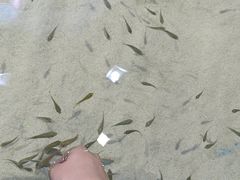 -顺德南宏海立方海洋公园
