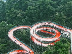 -大芦花风景区