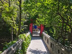 -老张烤羊(王哥庄店)