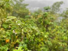 -福道