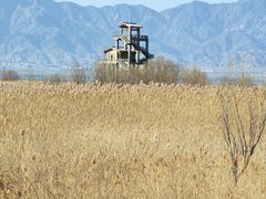 -野鸭湖国家湿地公园