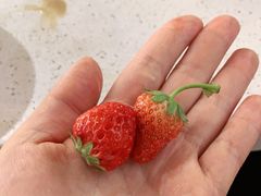 -兆丰海鲜烧烤涮自助(丰南总店)