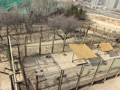 -青藏高原野生动物园