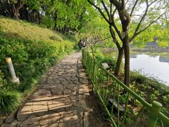 -嘉定紫藤园