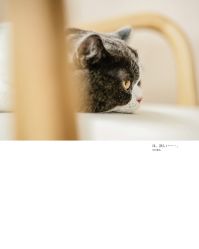 -ZOO KIDS象集摄影工作室(西城公馆店)