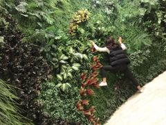 -郑州银基黄帝宫御温泉