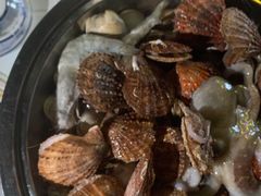 -东海章鱼馆(恒瑞街店)