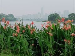 -南宁南湖公园
