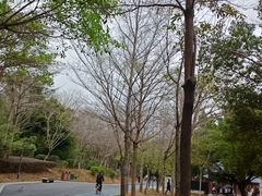 -聚龙山公园