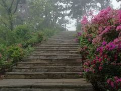 -木兰云雾山