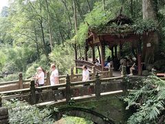 -青城山